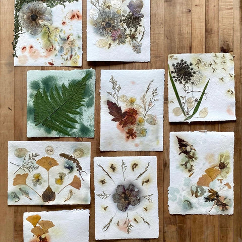June 29th - Papermaking with Natural Dyes & Foraged Elements