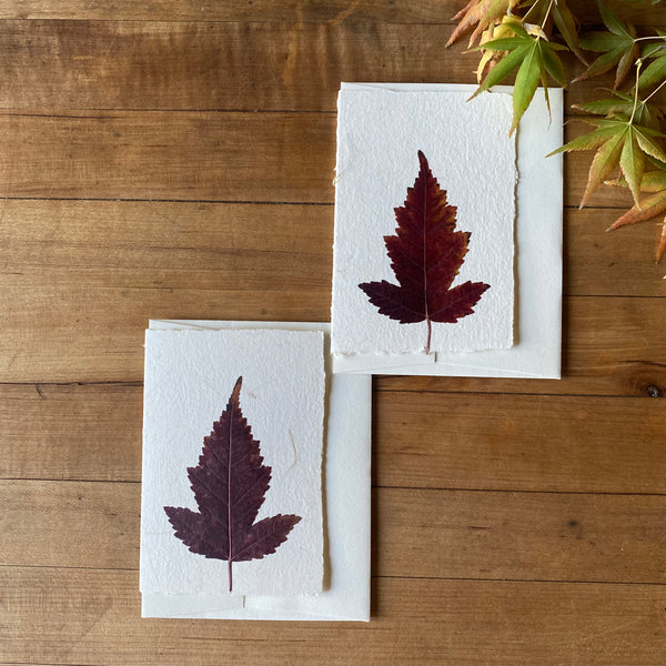 Oak Leaf Handmade Greeting Card