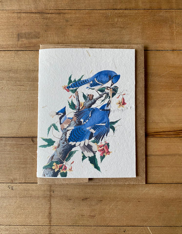 Blue Jay handmade greeting card