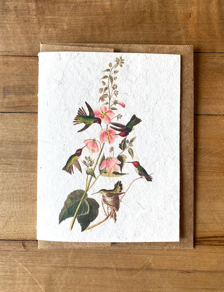 Columbian Hummingbirds handmade greeting card