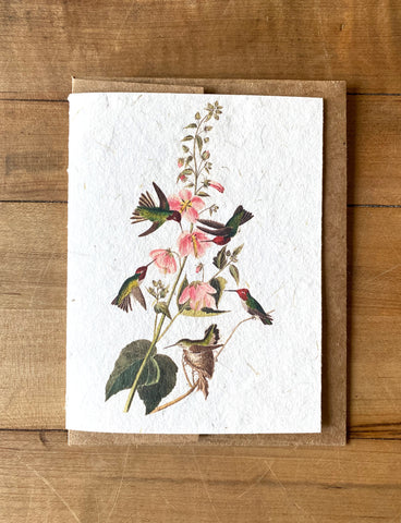 Columbian Hummingbirds handmade greeting card