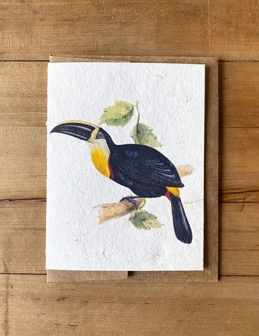 Osculant Toucan handmade greeting card