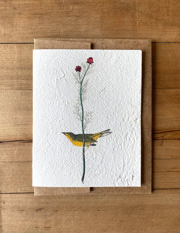 Selby's Flycatcher handmade greeting card