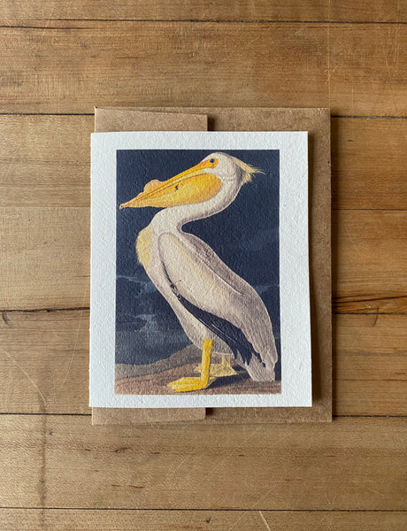 American White Pelican handmade greeting card